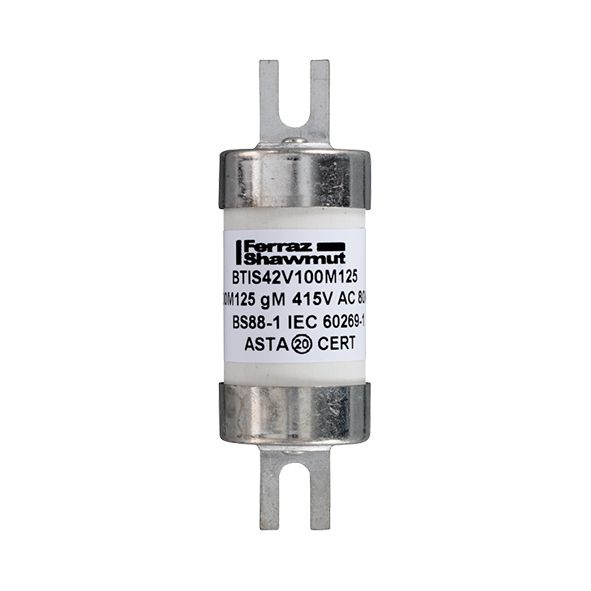 N1019188 - Offset Tag fuse-links gM BTIS 415VAC/240VDC  100M125 A